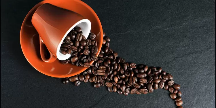 Café - imagen de referencia Bebida caliente