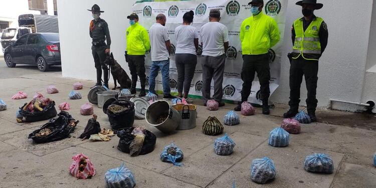 Capturados por por el delito de aprovechamiento ilícito de los recursos naturales renovables.