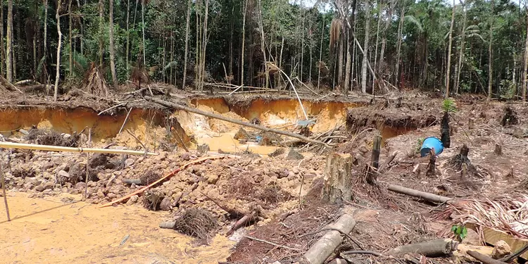 Zona afectada por deforestación por minería ilegal zona afectada por deforestación