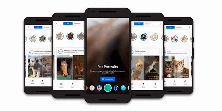 Pet portraits app de Google