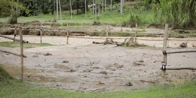 Afectaciones por lluvias