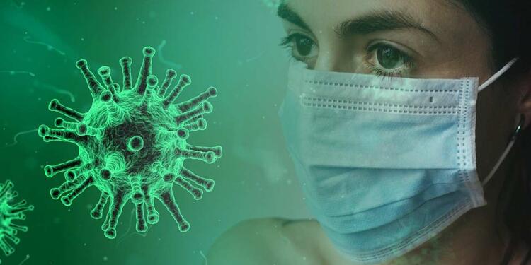 Coronavirus Coronavirus