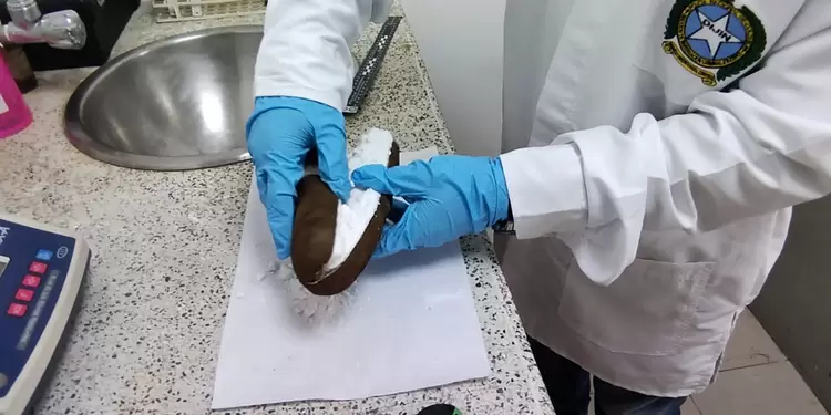 Traficantes esconden droga hasta en la yuca