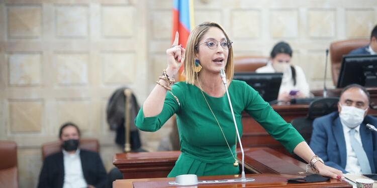 Jennifer Arias, Presidente de la Cámara de Representantes
