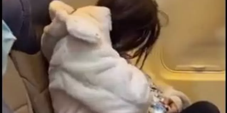 Mujer acusada de amamantar un gato, en realidad tenía un espeluznante objeto entre su pecho