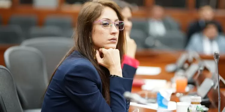 Marica ya no más: Jennifer Arias en plenaria de Cámara Marica ya no más: Jennifer Arias en plenaria de Cámara