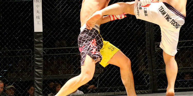 Peleadores en octágono de artes marciales mixtas
