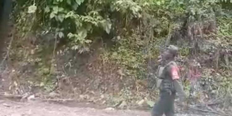 Imágenes de los combates en Nóvita, Chocó.