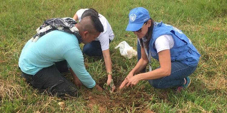 Misión de la ONU en Colombia - Referencia