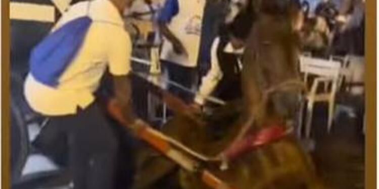 Indignación por nuevo caso de maltrato animal con un caballo en Cartagena