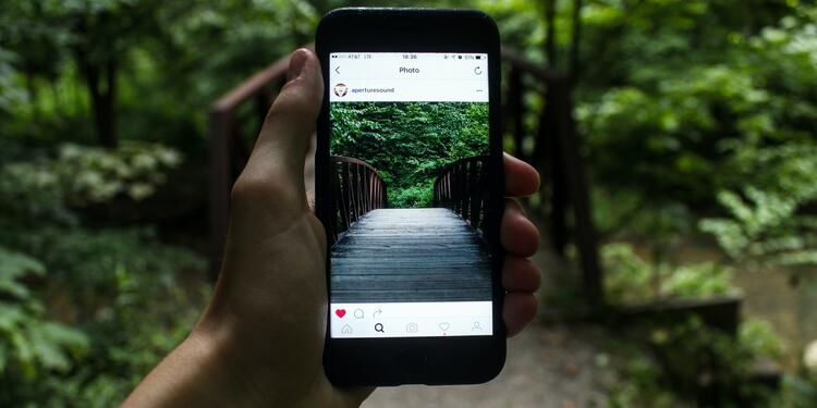 Instagram: cambios en el feed