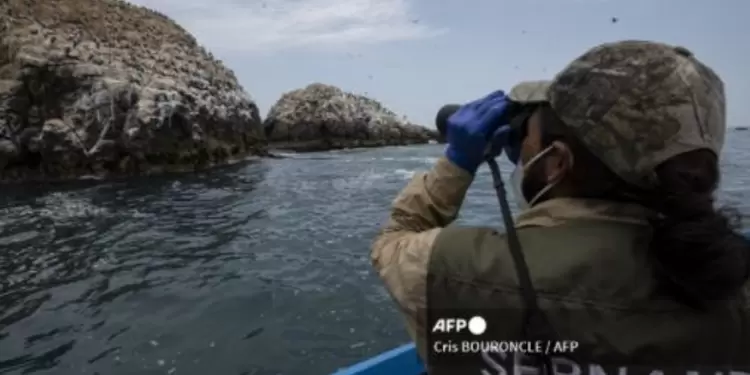 Derrame de petróleo en playas del Perú