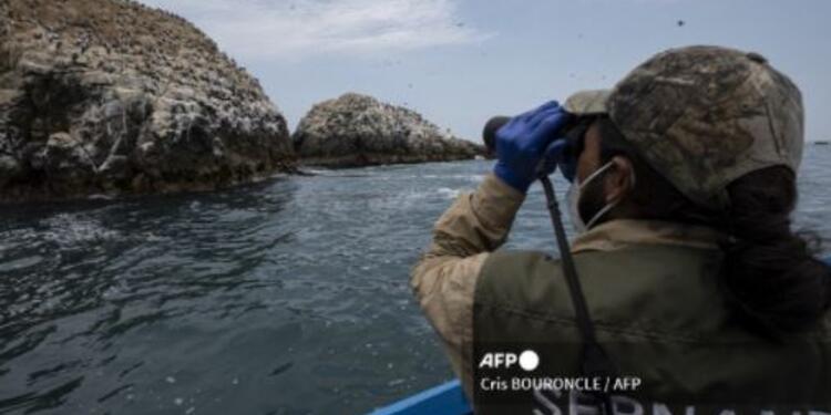 Derrame de petróleo en playas del Perú