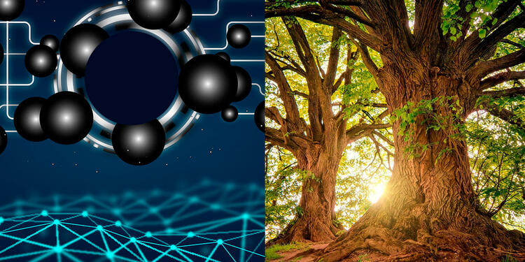 La tecnología puede proteger el medio ambiente La tecnología puede proteger el medio ambiente
