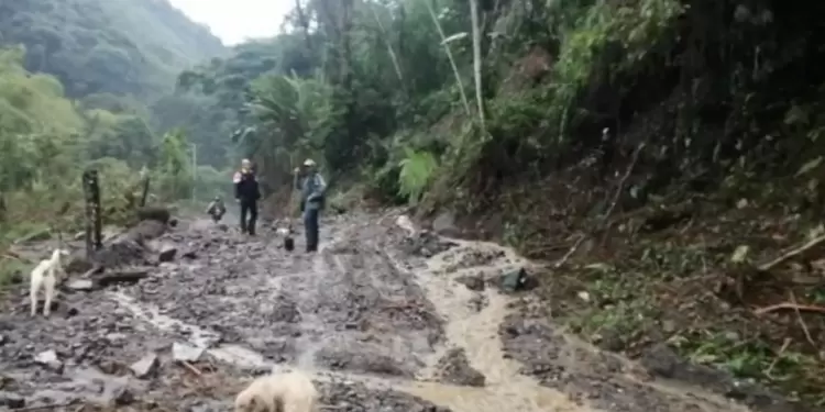 Las emergencias no han dejado perdidas humanas.