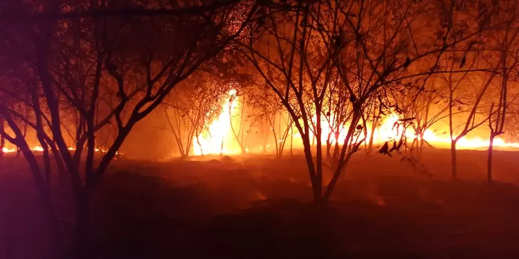 Alera Naranja por incendios