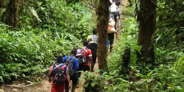 Indígenas AWA siguen siendo asesnados en Narño