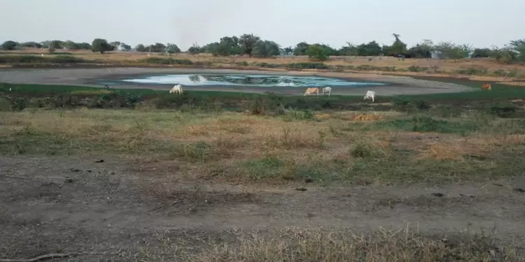 Tierra afectada por sequía Tierra afectada por sequía