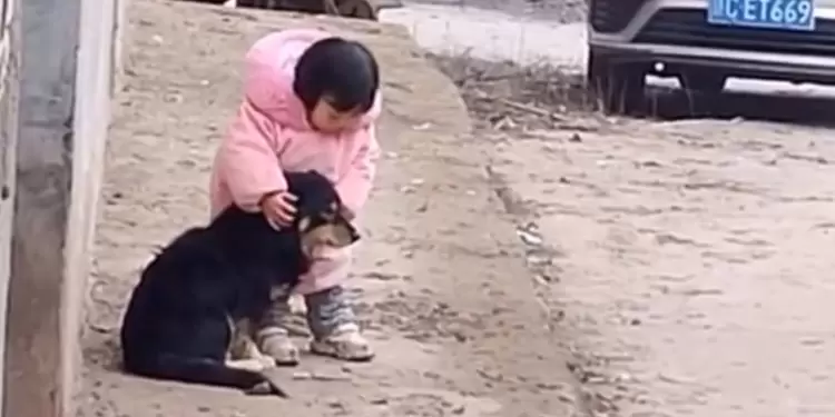 Sonido de pólvora y animales: Niña tapa orejas de su perro asustado Sonido de pólvora y animales: Niña tapa orejas de su perro asustado
