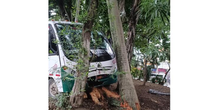 Bus escolar accidentado en Cali se estrelló contra una palma