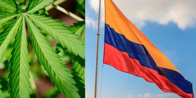 Hoja de cannabis en bandera de Colombia Hoja de cannabis en bandera de Colombia