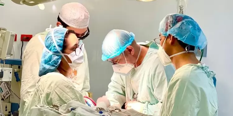 hospital público de Medellín: mejores prestadores de salud hospital público de Medellín: mejores prestadores de salud