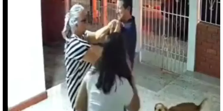 Perrito que regresa a su casa Perrito que regresa a su casa