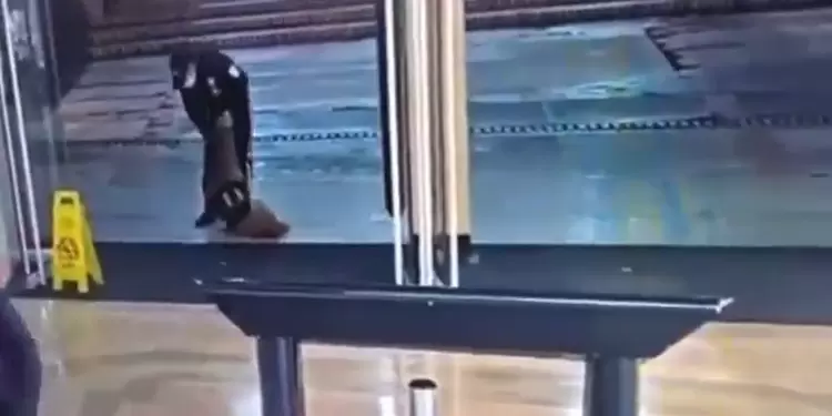 guarda de seguridad y perro guarda de seguridad y perro
