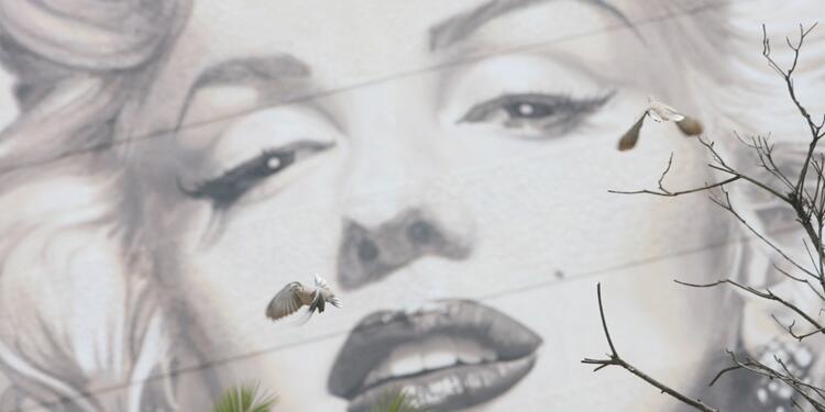 Marilyn Monroe Marilyn Monroe