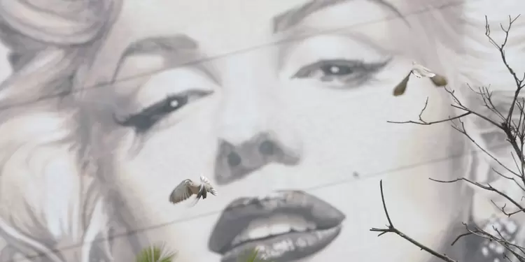 Marilyn Monroe Marilyn Monroe