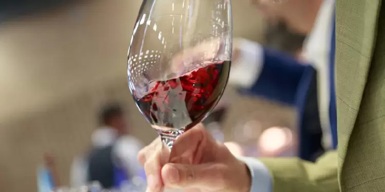 Expovinos 2022 Expovinos 2022
