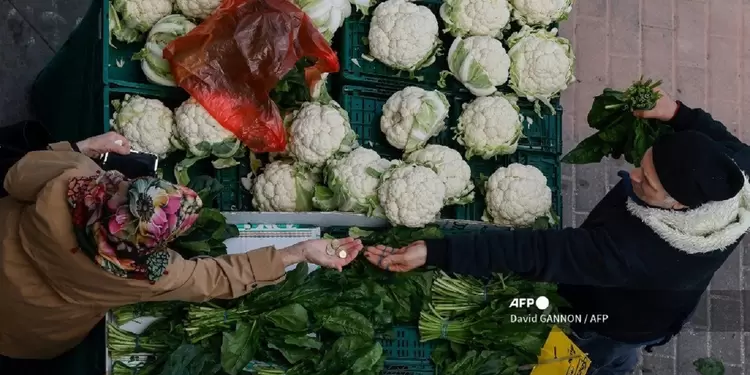 Inflación Alemania Inflación Alemania