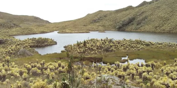Páramo del Sol