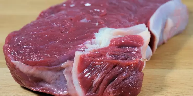 Carne Carne