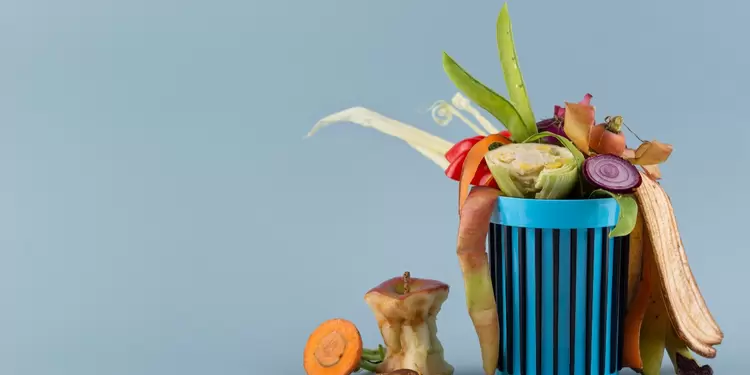 Desperdicio de alimentos Desperdicio de alimentos