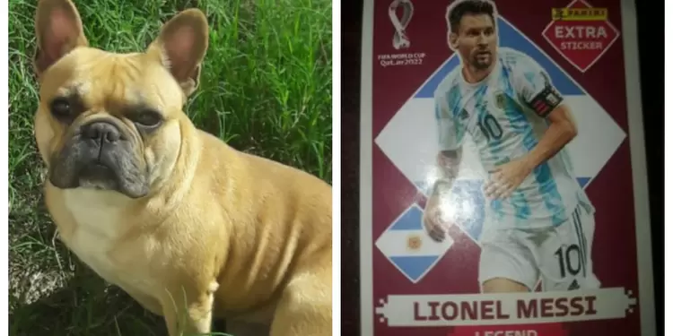 Niño ofrece lámina de Messi para recuperar el perrito de su amiga Niño ofrece lámina de Messi para recuperar el perrito de su amiga