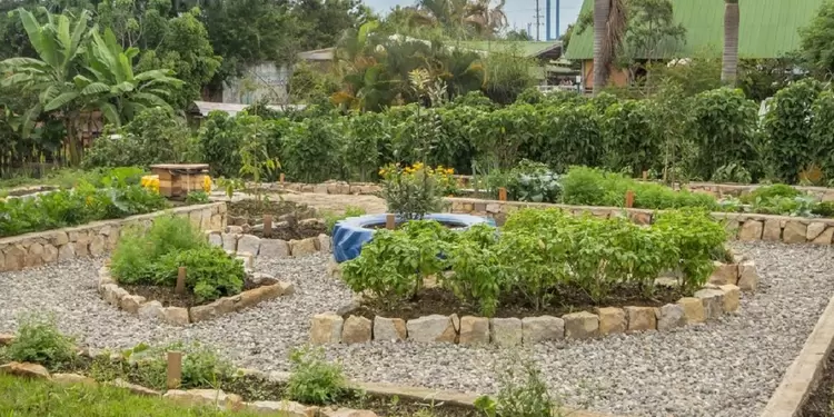 Ecoparque Chinauta