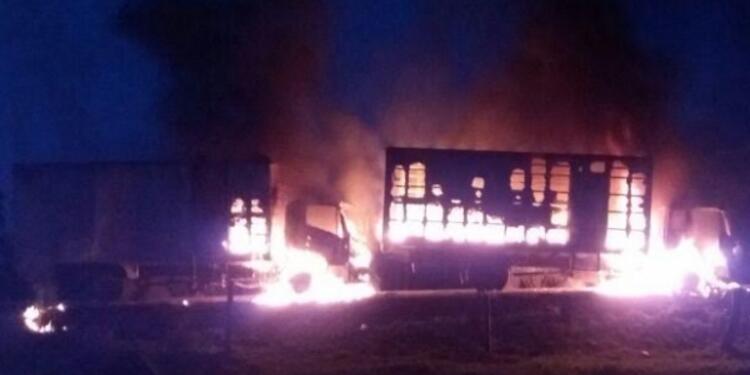 CAMIONESINCINERADOSELN1.jpg