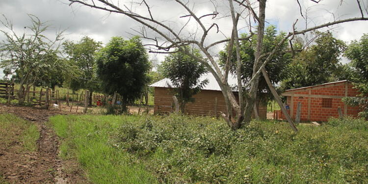 COLP_123704.jpg