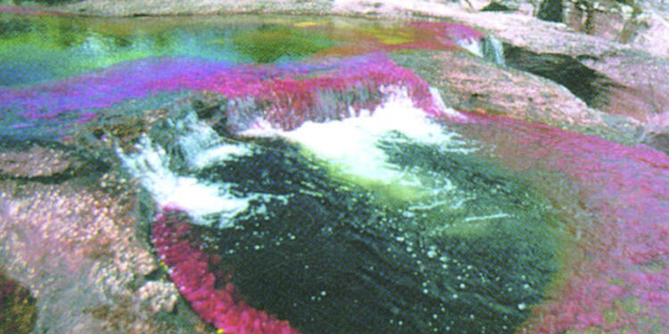 Caño-Cristañes-LA-FM-Colprensa.jpg