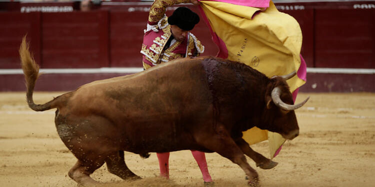 Corridas-de-toros-Colprensa-Juan-Páez.jpg