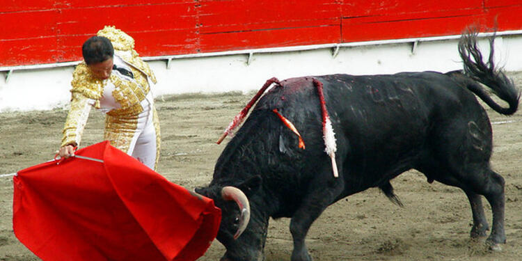 Corridas-de-toros-Colprensa.jpg