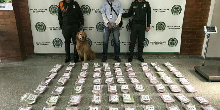 Igor-Canino.jpg