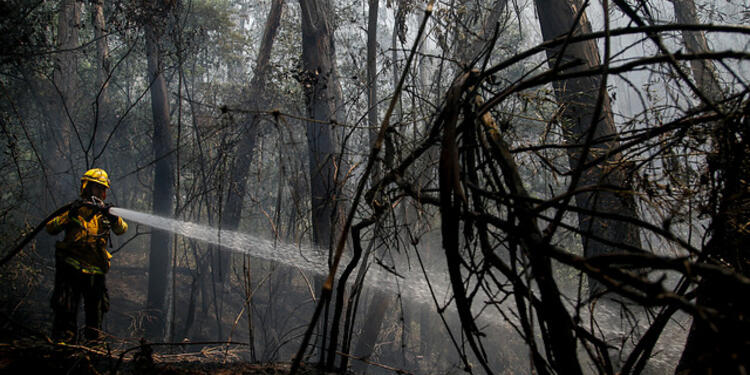 Incendio-forestal-Colprensa-Mauricio-Alvarado.jpg