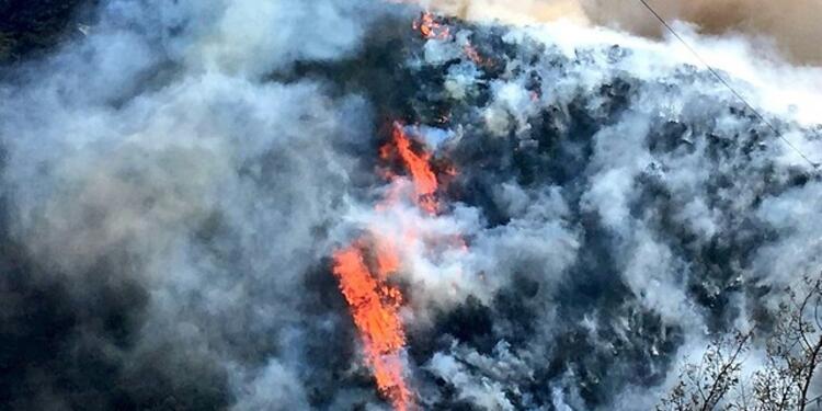 Incendio-forestal-Colprensa.jpg