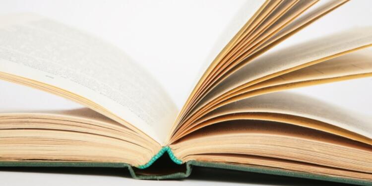 LIBROINGIMAGELAFM1.jpg