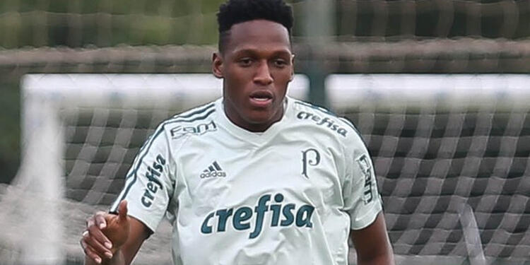 MinaFotoPalmeiras1.jpg