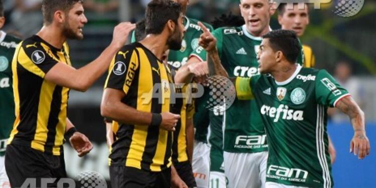 Palmeiras-LA-FM-AFP.jpg