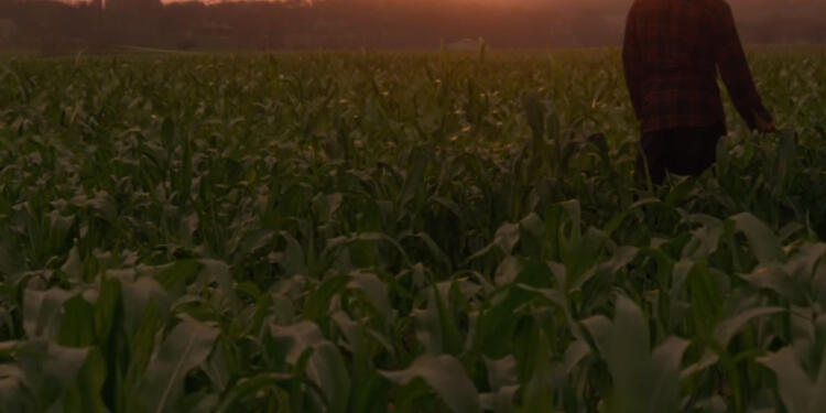 SupermanJusticeLeagueTrailer1.jpg