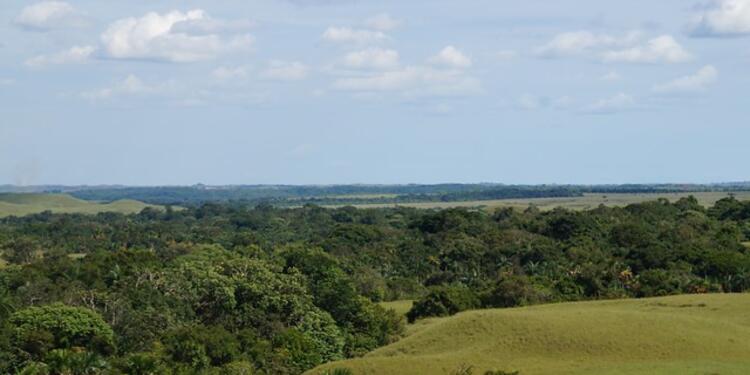 Tierras-LAFm-Colprensa.jpg